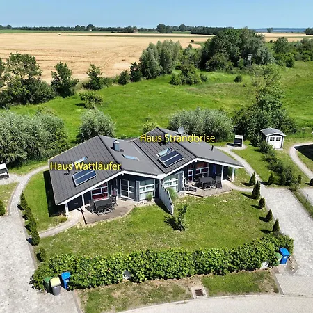 Daenische Ferienhaeuser Am Salzhaff Haus Strandbrise
