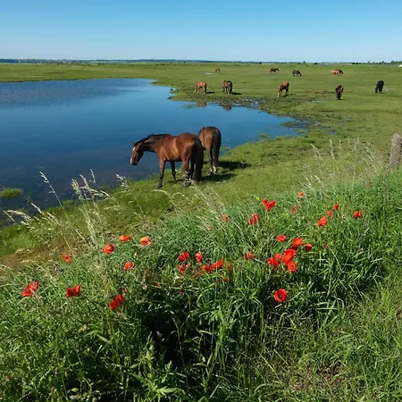 Daenische Ferienhaeuser Am Salzhaff Haus Strandbrise * Malchow (Poel Island)