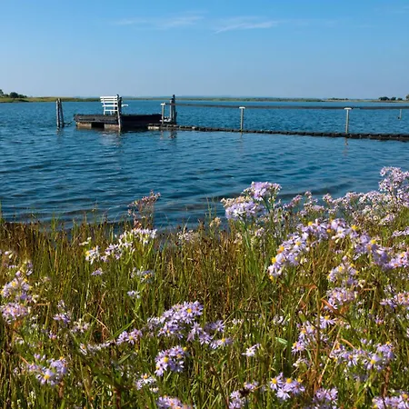 Daenische Ferienhaeuser Am Salzhaff Haus Strandbrise * Malchow (Poel Island)