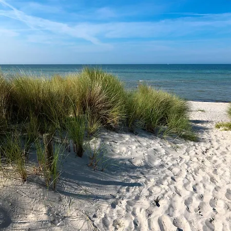 Daenische Ferienhaeuser Am Salzhaff Haus Strandbrise Hébergement de vacances