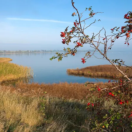 Daenische Ferienhaeuser Am Salzhaff Haus Strandbrise Malchow (Poel Island)
