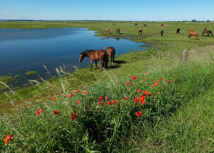 Dänische Am Salzhaff Haus Strandbrise * Malchow (Poel Island)