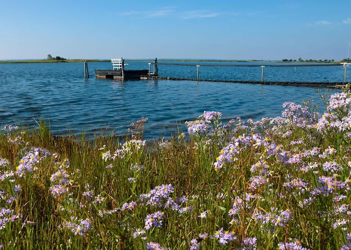 Dänische Am Salzhaff Haus Strandbrise * Malchow (Poel Island)