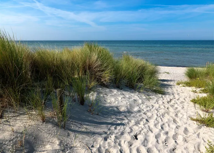 Dänische Am Salzhaff Haus Strandbrise Ferienhaus